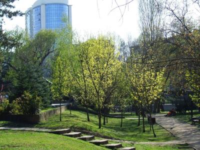 Прикрепленное изображение: sn92.jpg